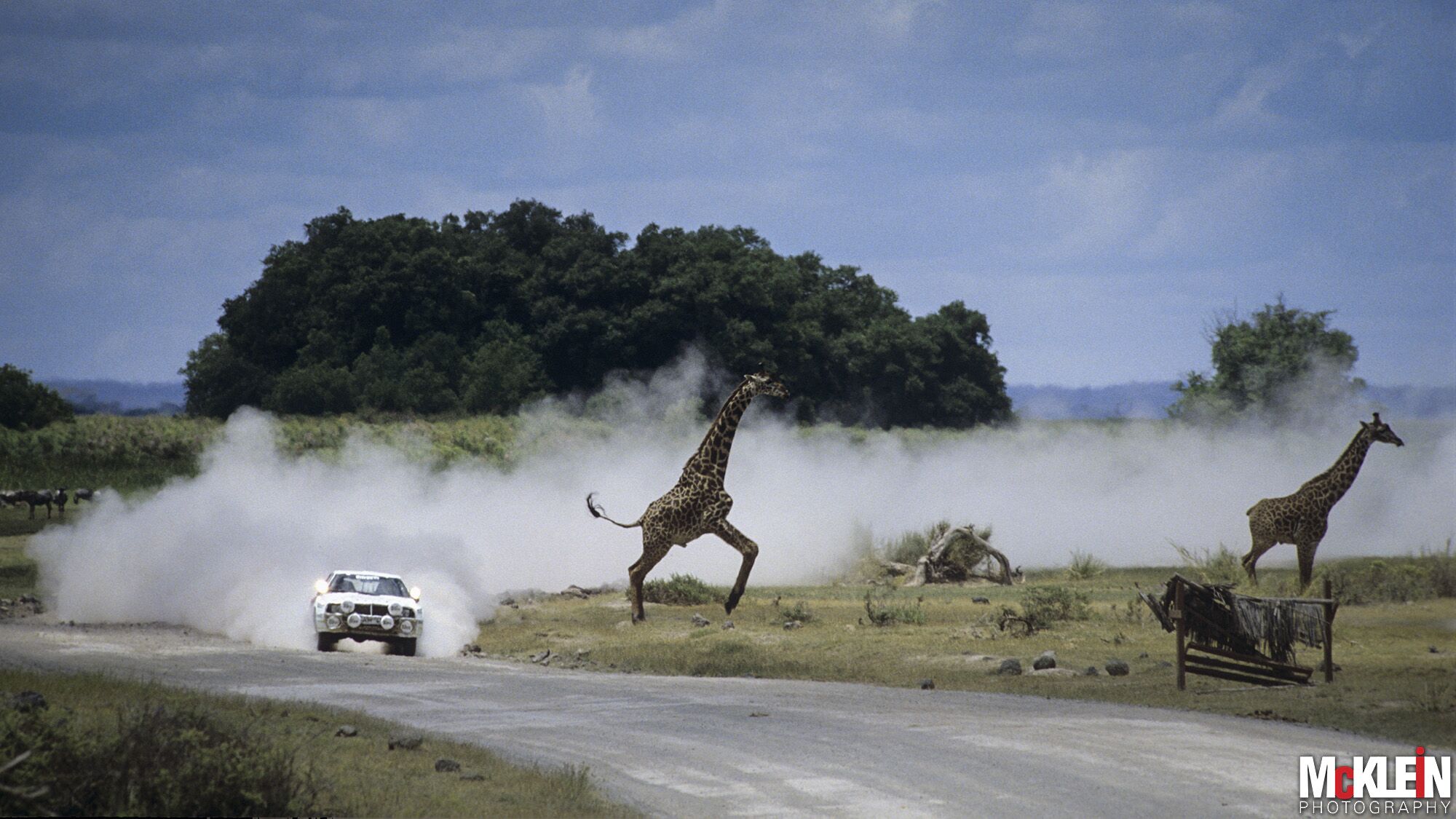 WRC Safari Rally /Worldwide Copyright: McKlein