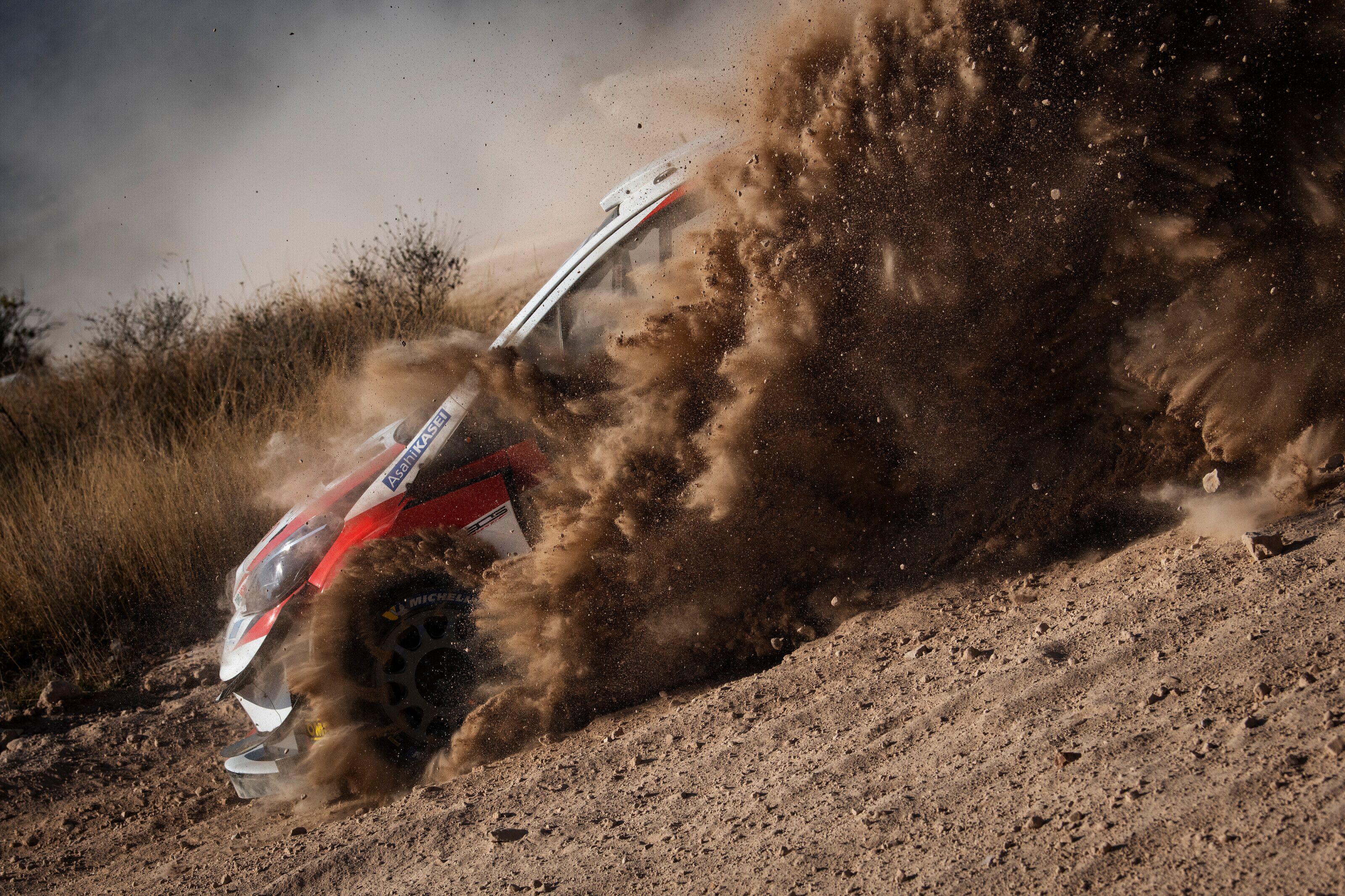 Sebastien Ogier