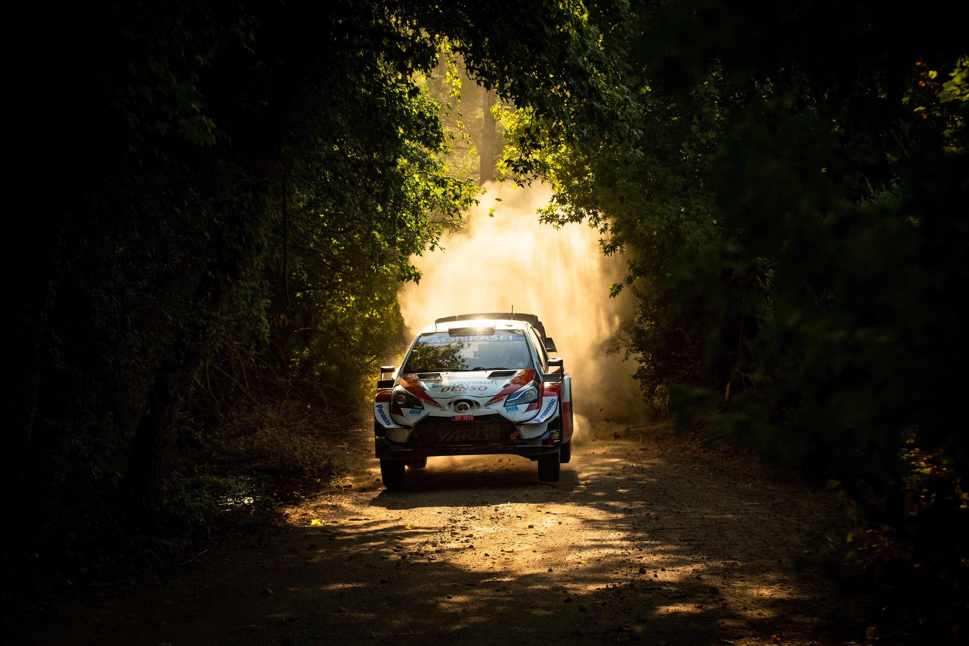 Elfyn Evans