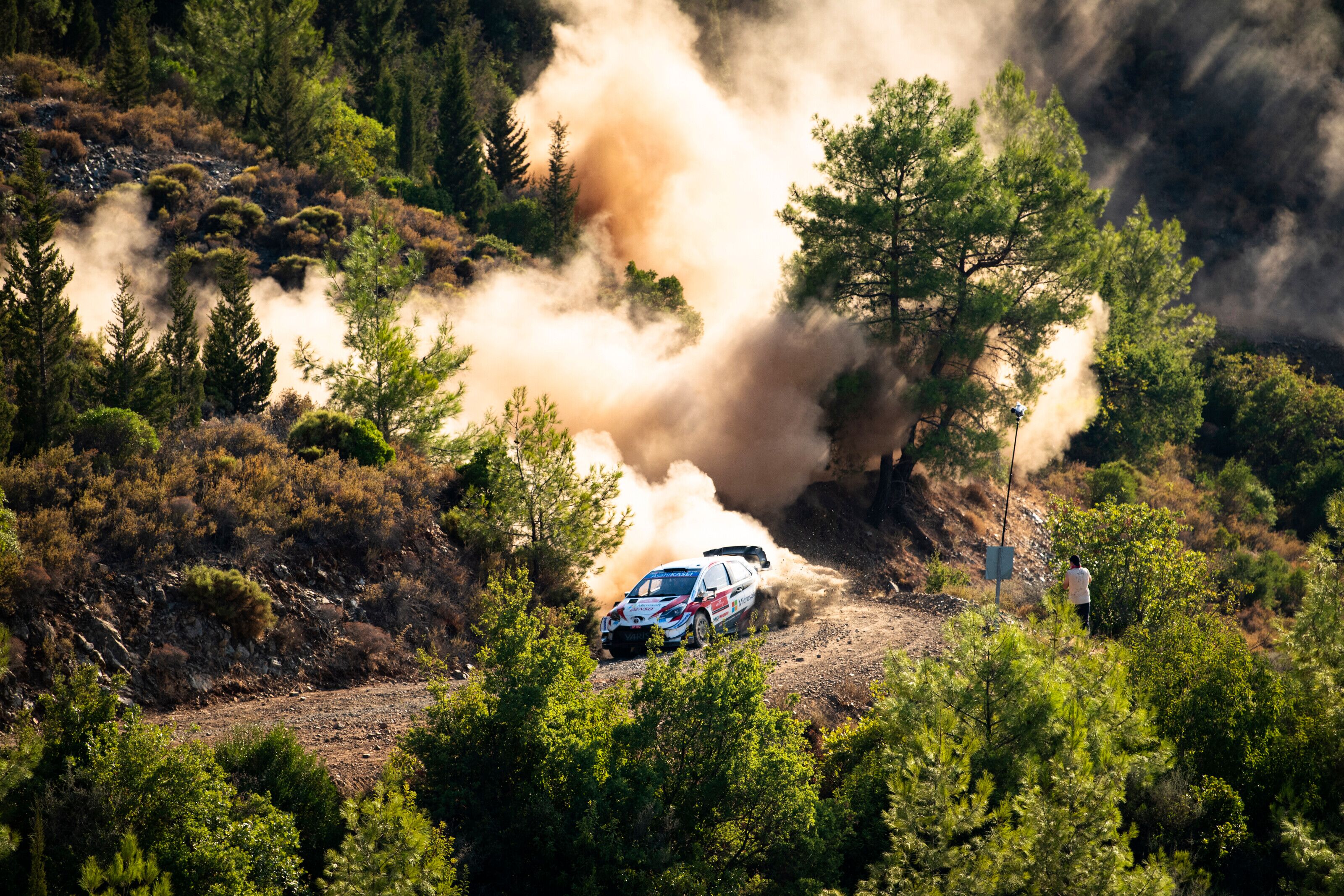 Sebastien Ogier