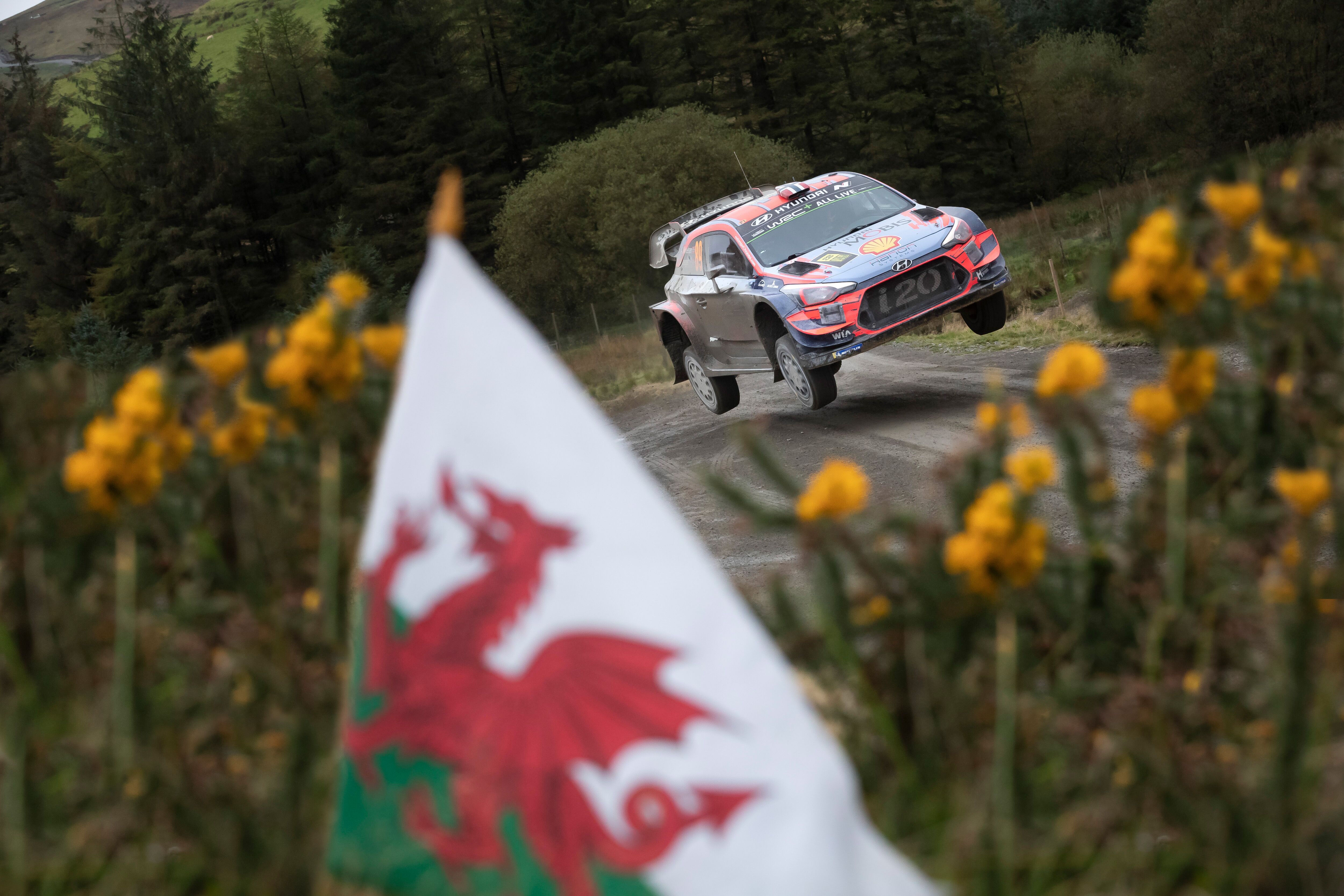 2019WALES_AUS_2648