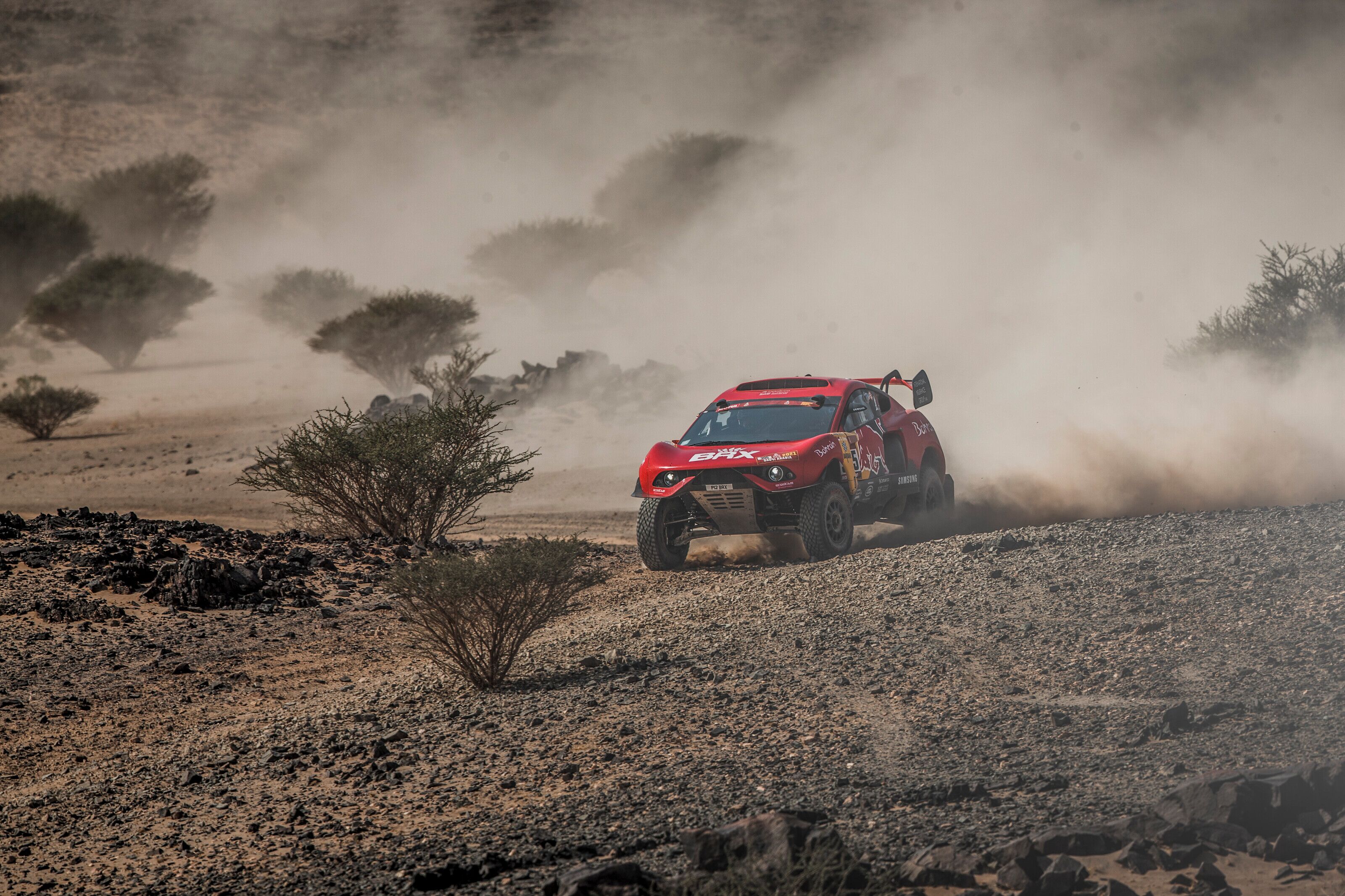 Sï¿½bastien Loeb