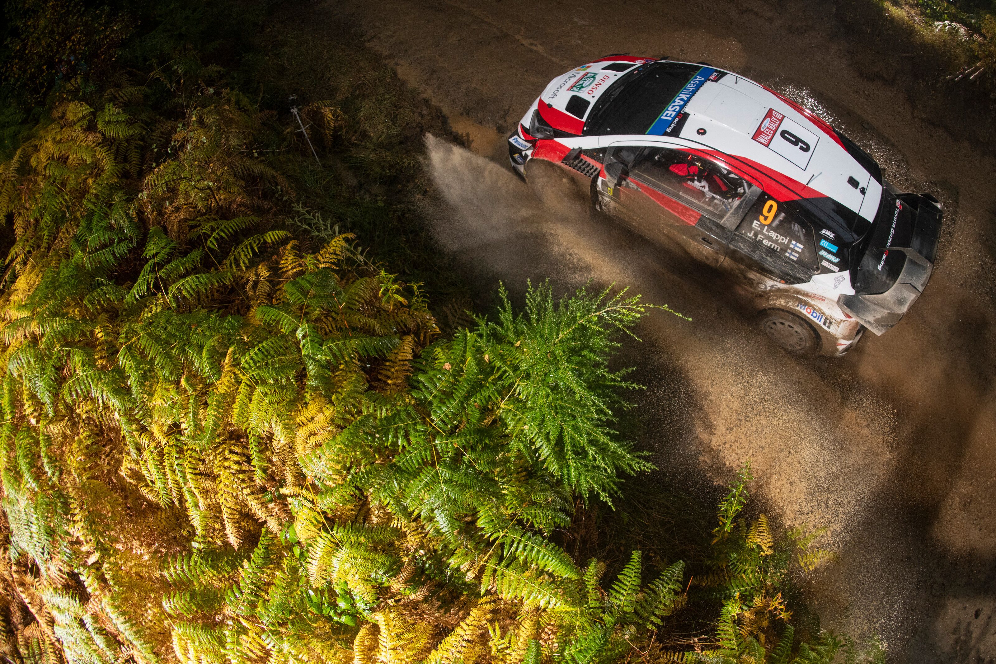 Esapekka Lappi