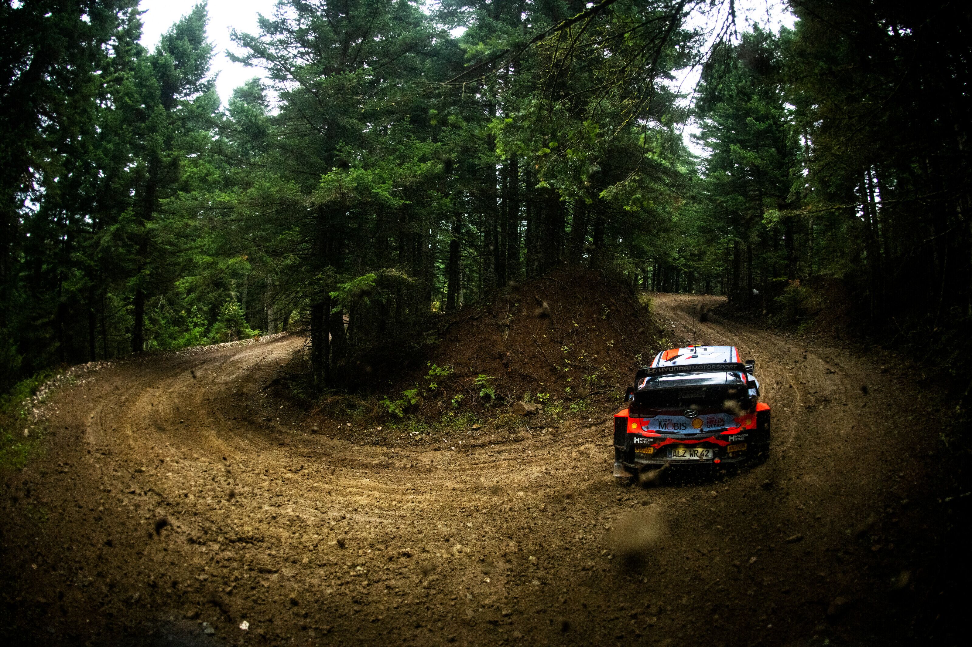 Thierry Neuville