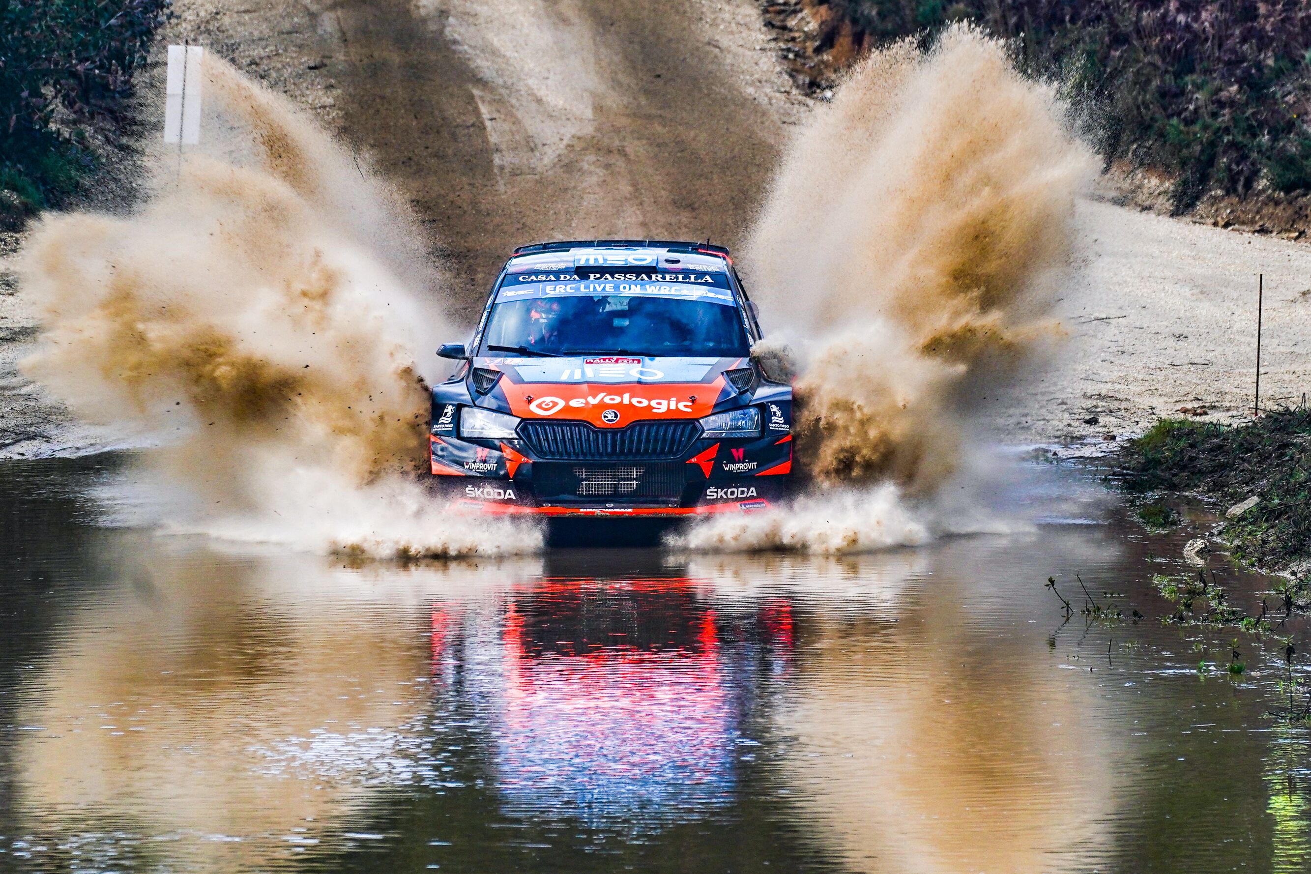 ERC_Fafe-araujo_568