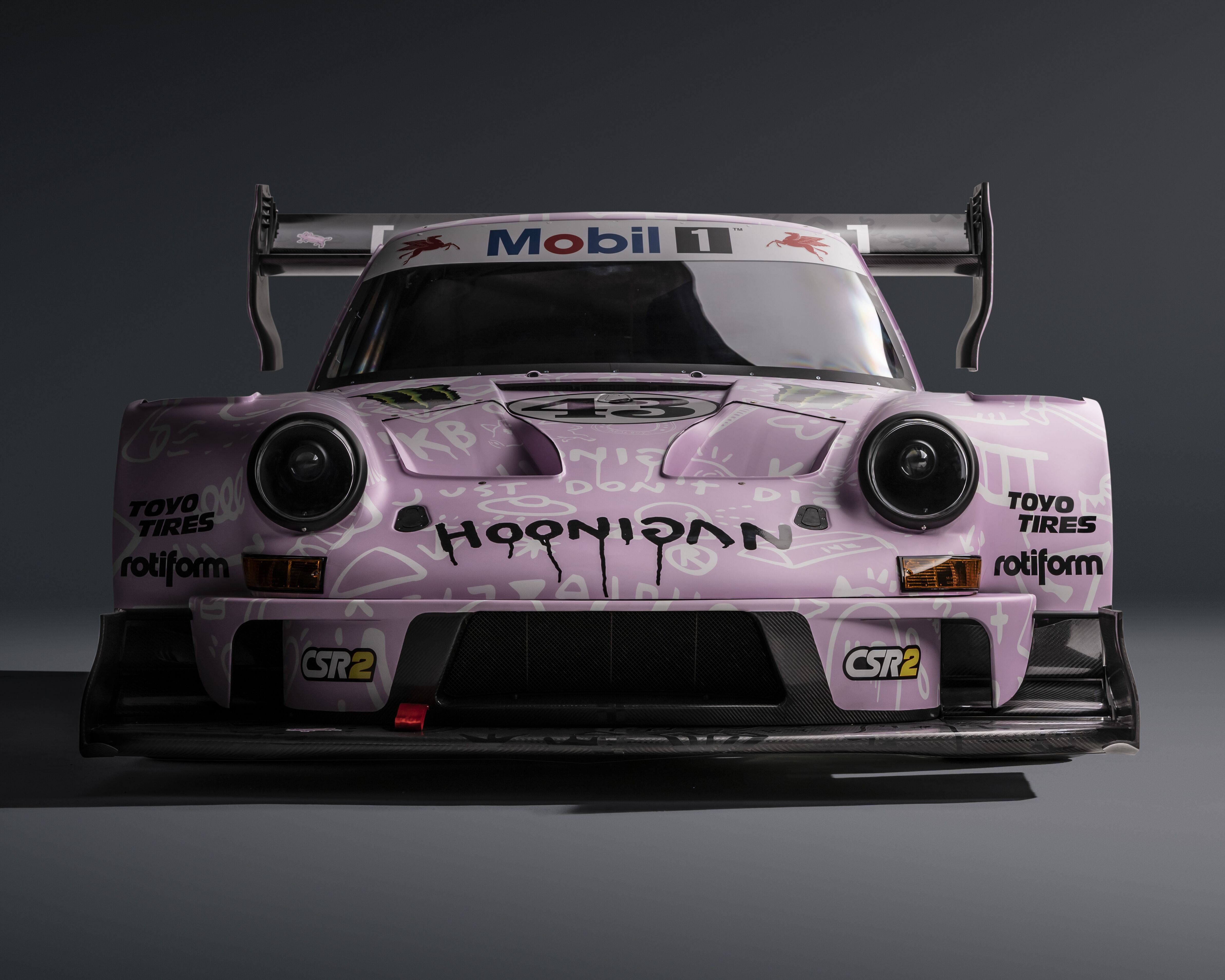 Hoonipigasus_3