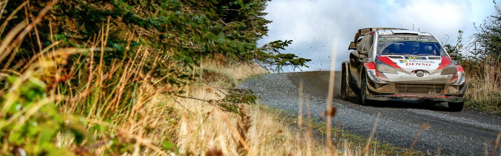 WRC_2019_Rd12_165