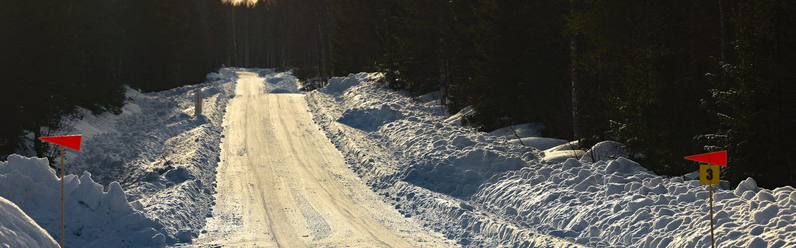 WRC_2023_Rd.2_005