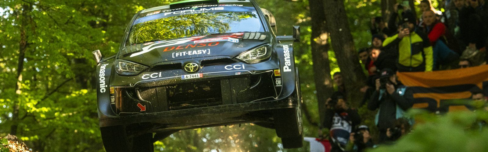 Elfyn Evans
