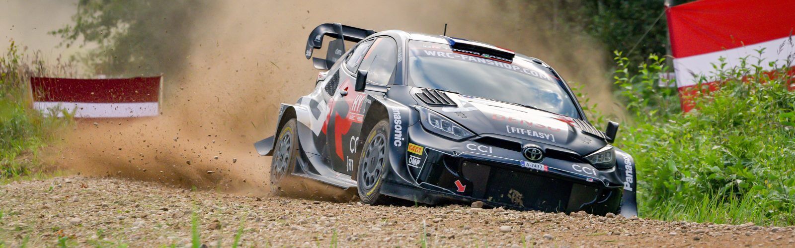 Ogier08LAT24cm028