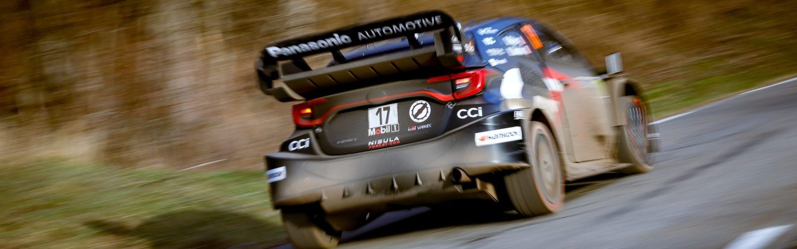 Ogier01MC25cm376