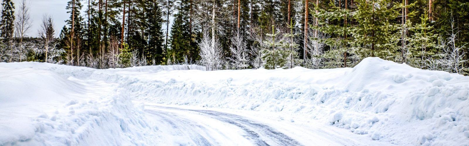 WRC_SWE_25_atmosphere_011
