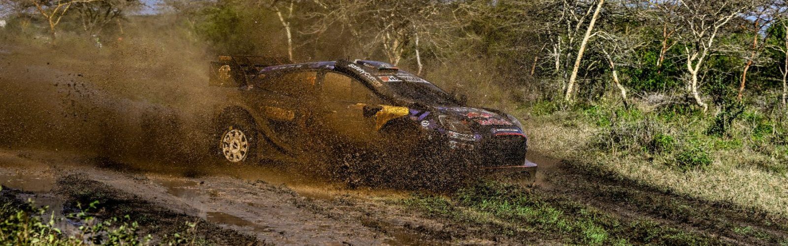 WRC_KEN_25__1523