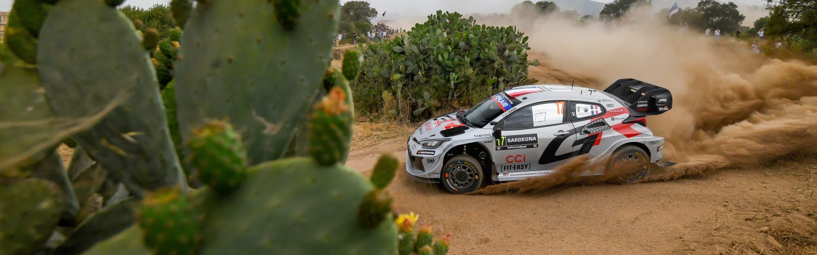 Ogier06ITA25cm124