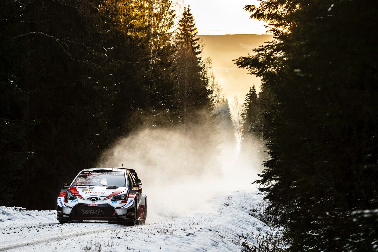 Elfyn Evans Toyota