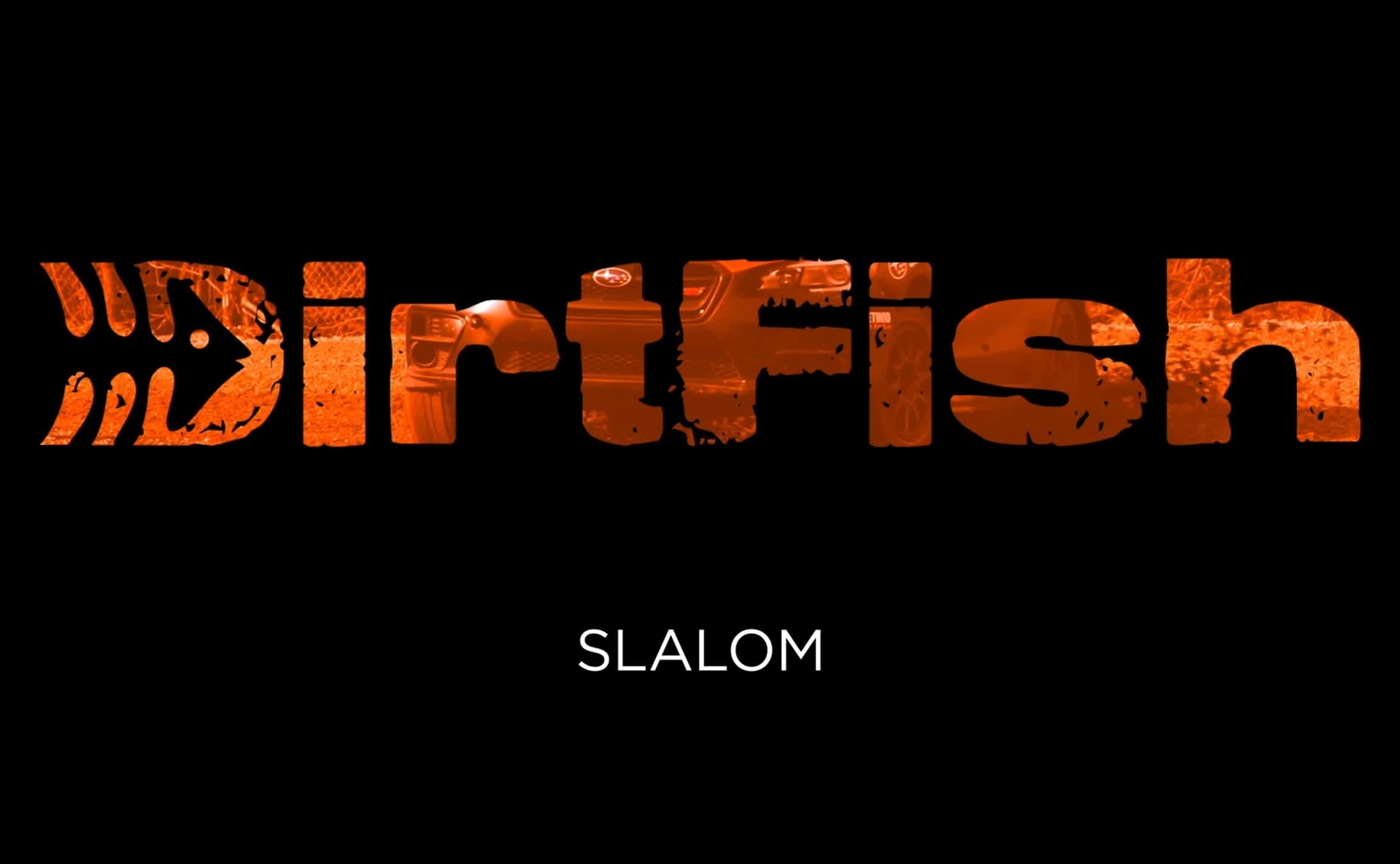 Slalom-Web