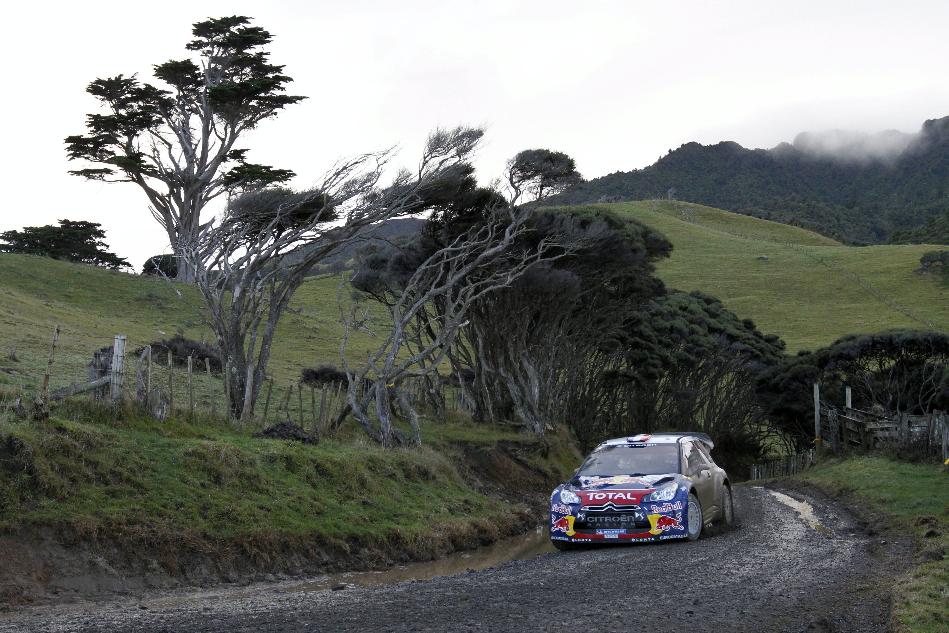 Sebastien Loeb – Action