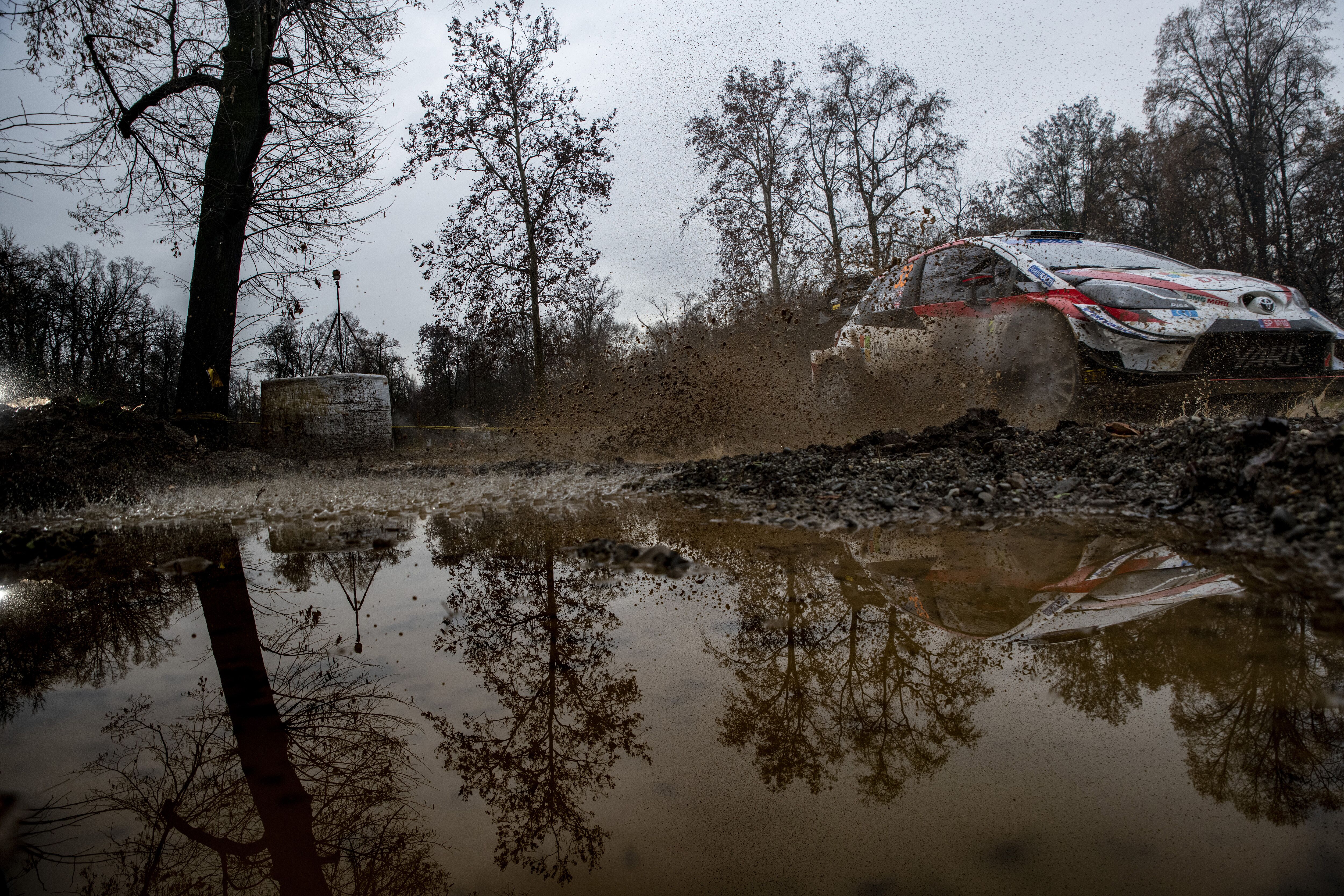 WRC_2020_Rd.7_181