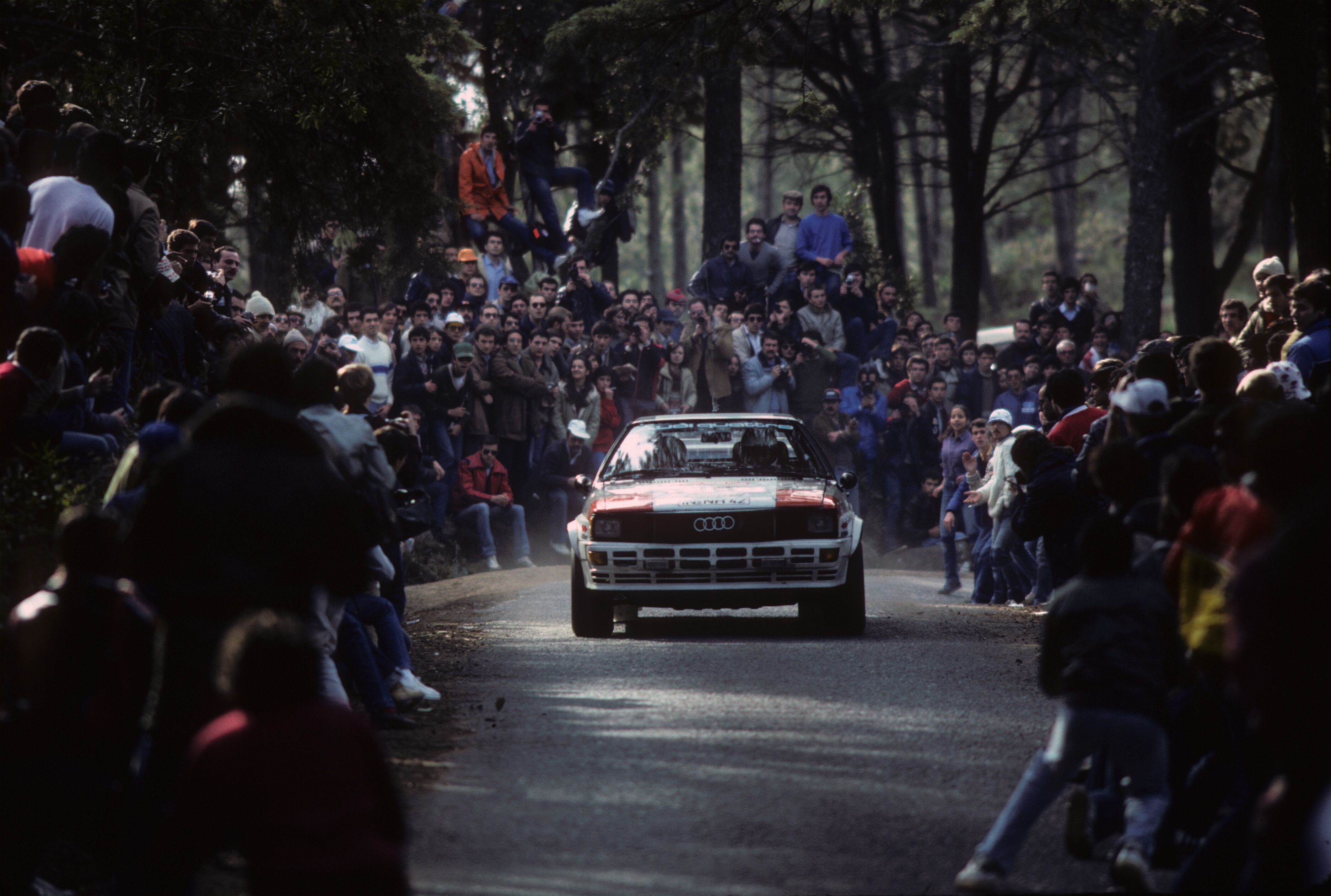 1982 Portugal Rallycopyright: McKlein