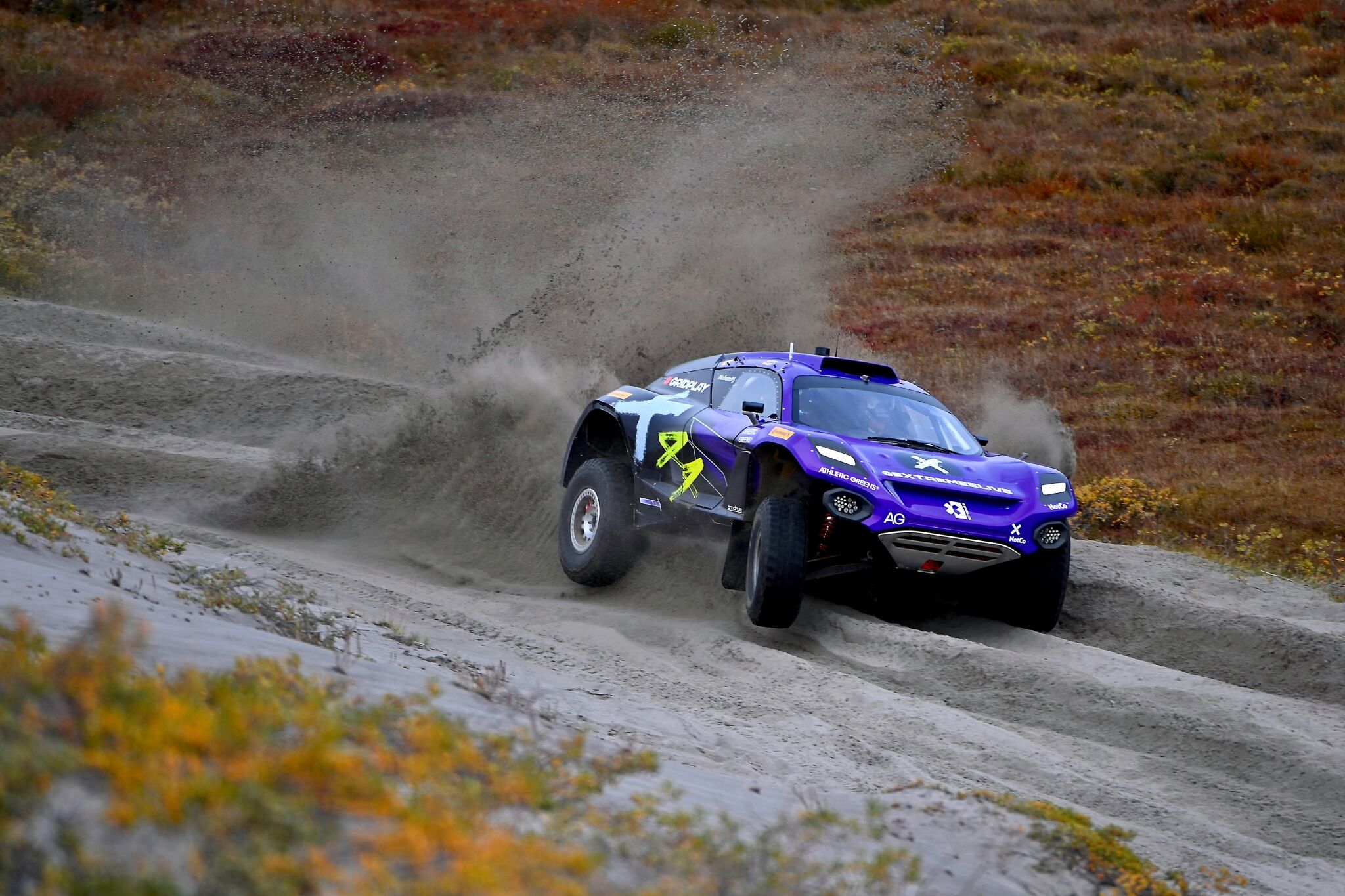 Cristina Gutierrez (ESP)/Sebastien Loeb (FRA), X44