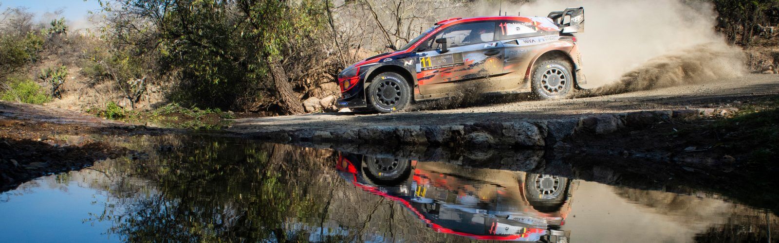 Thierry Neuville