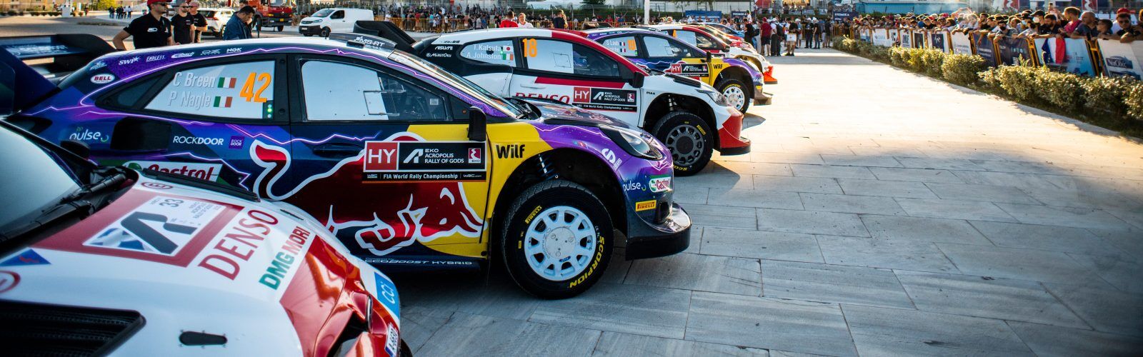 WRC cars
