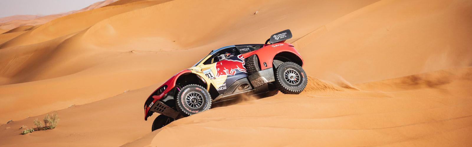 Sebastien Loeb