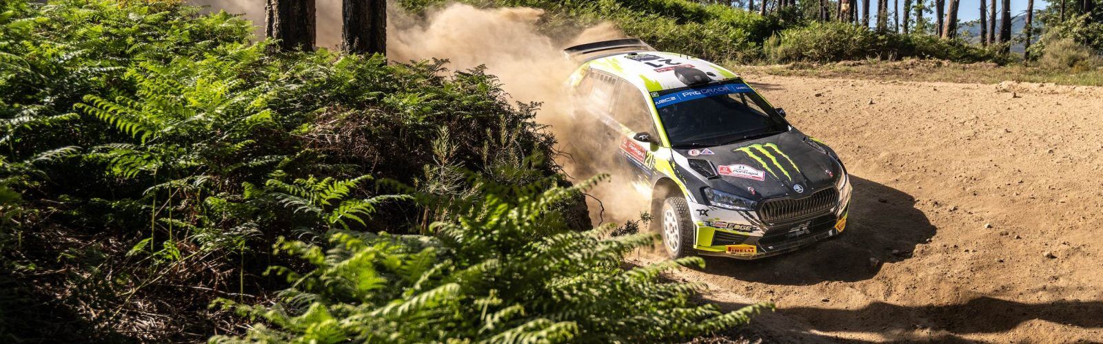 skodamotorsport-rallyportugal-21-solberg-203