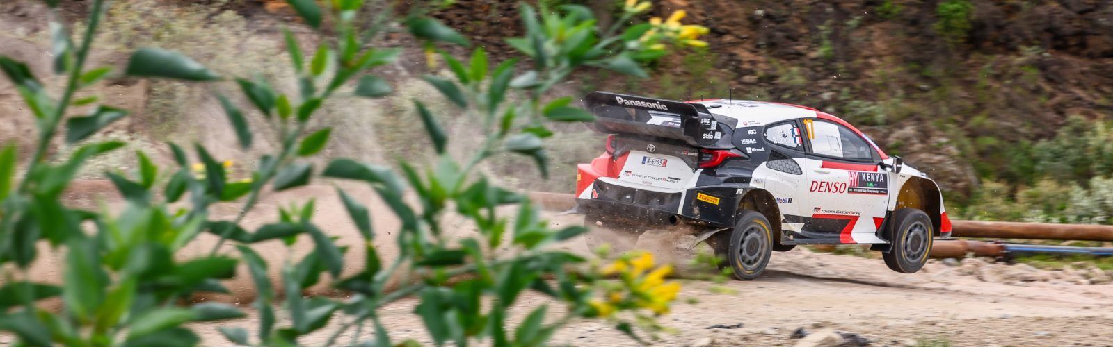Ogier07KEN23cm355