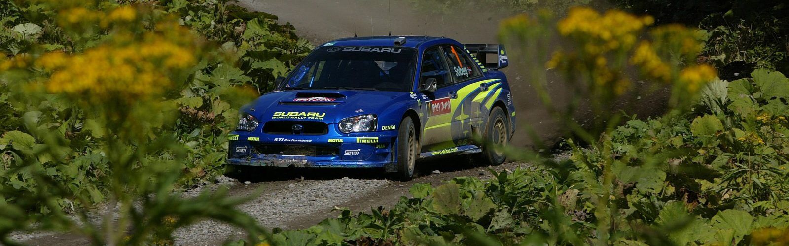 rally japan 2004