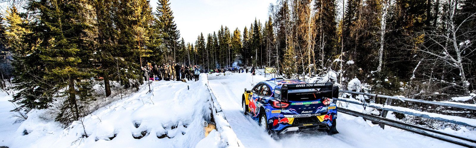 WRC 2023