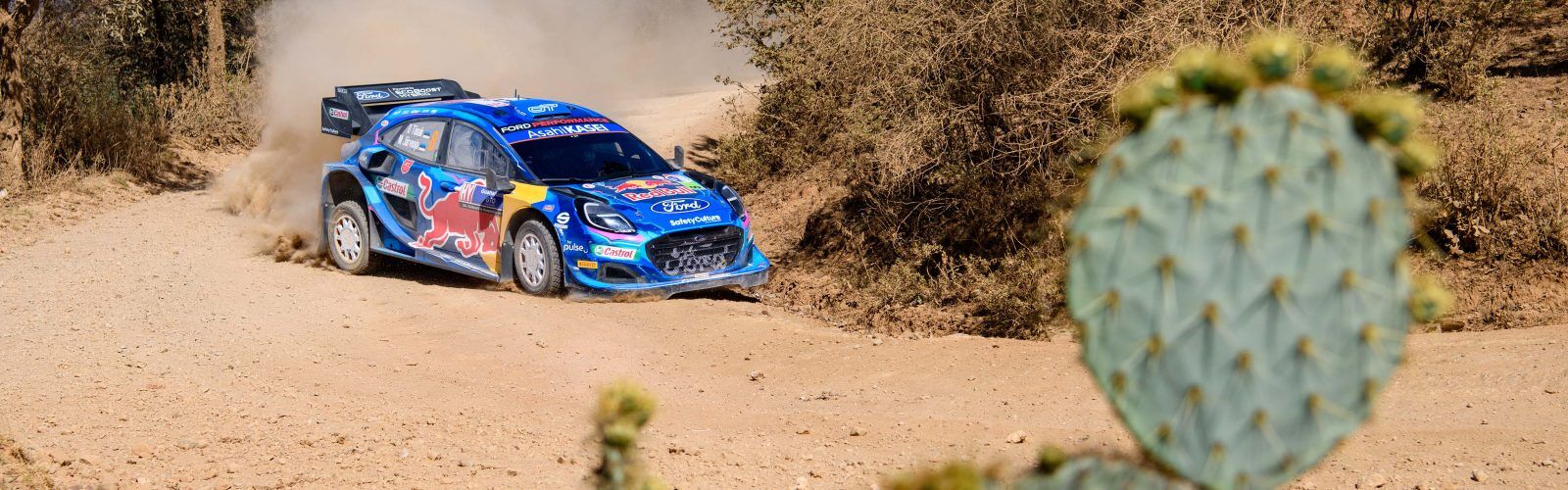 03_WRCMexico_2023_TANAK_389