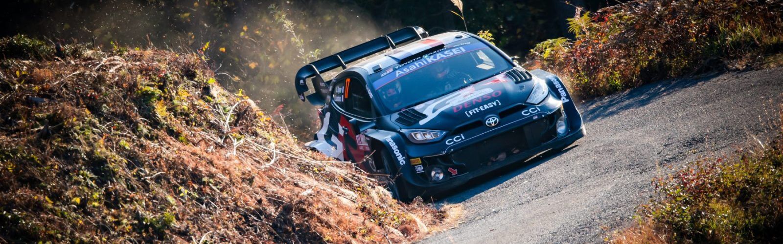 Ogier13JPN24cm787