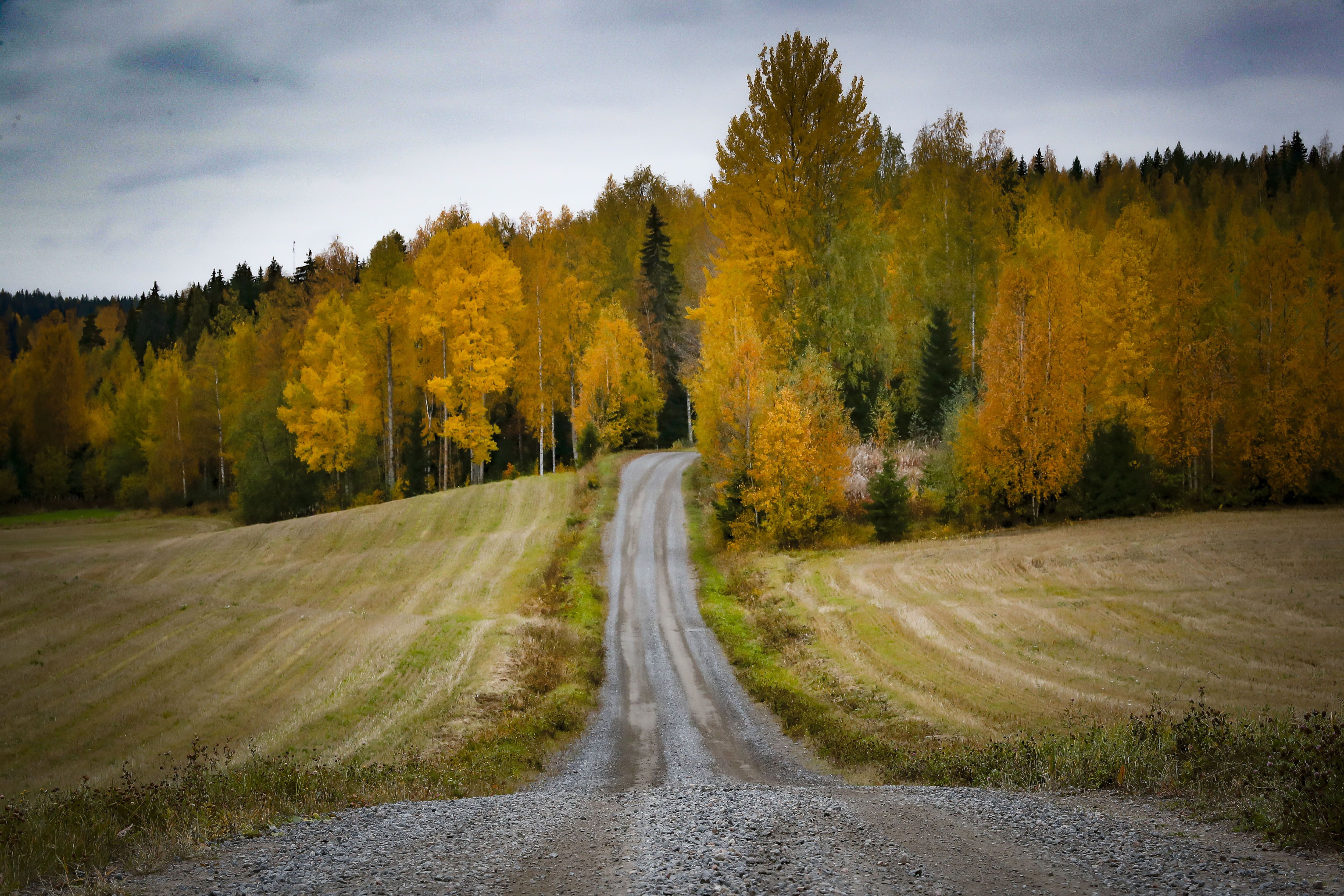 WRC_2021_Rd.10_033