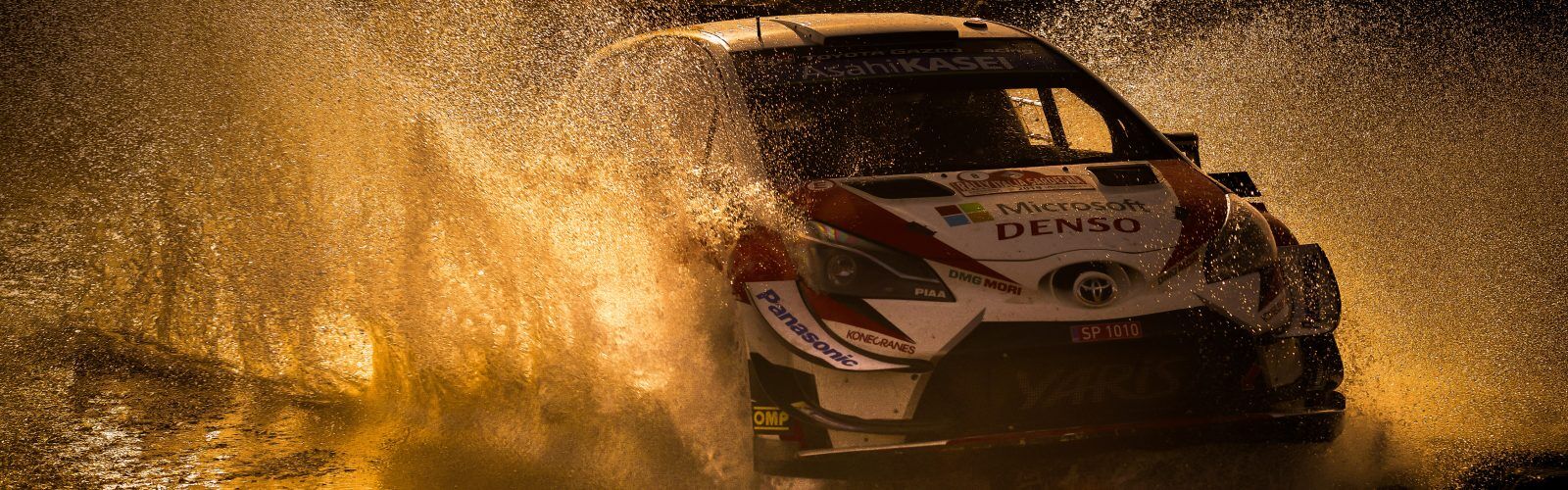 WRC_2019_Rd8_287
