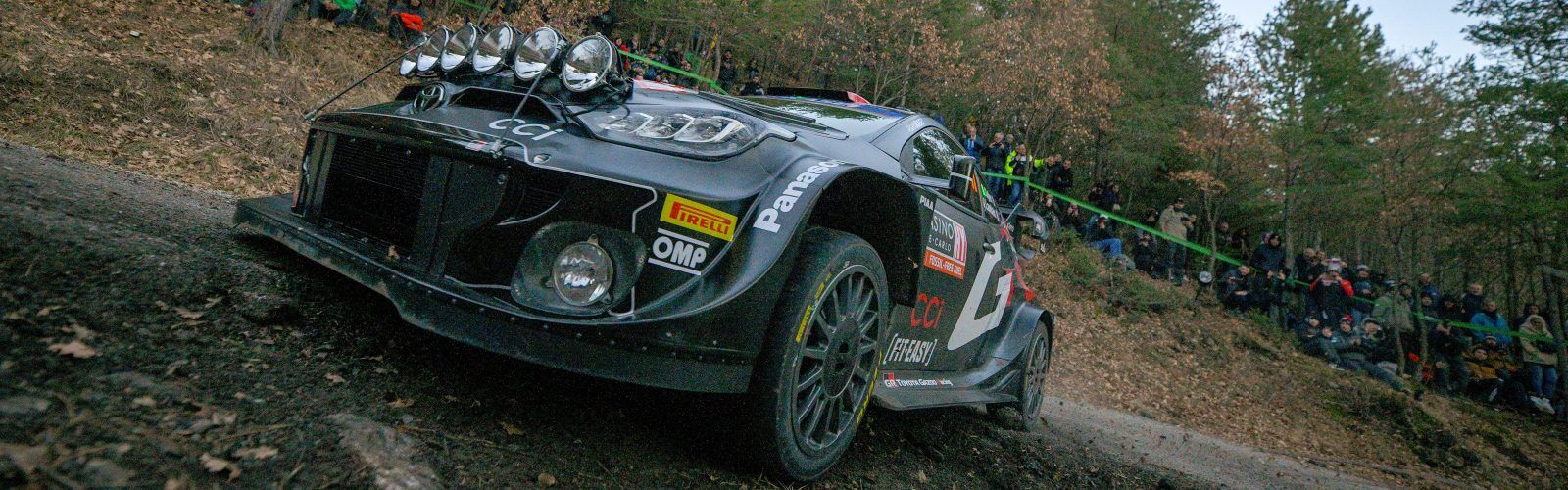 Ogier01MC24cm259